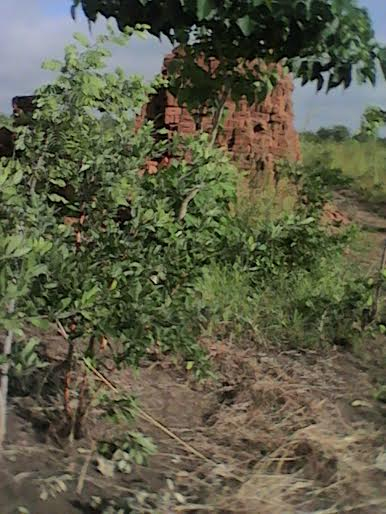 MiConv.com__f950b42308d3bce6ffd41c12cff6761c
